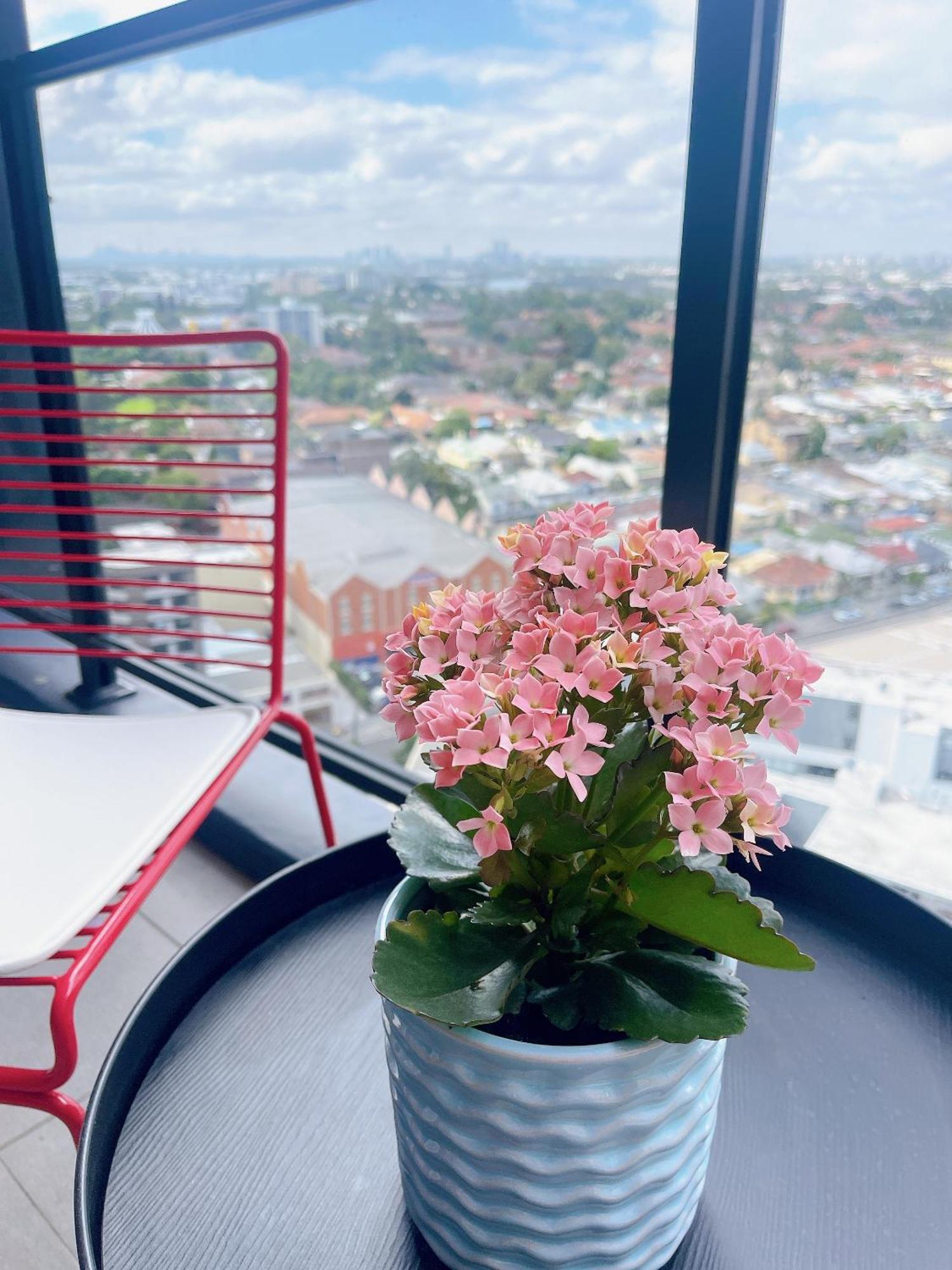 Parramatta New Paint 2b2b High Floor Apt Next To Train And Shopping Apartment *