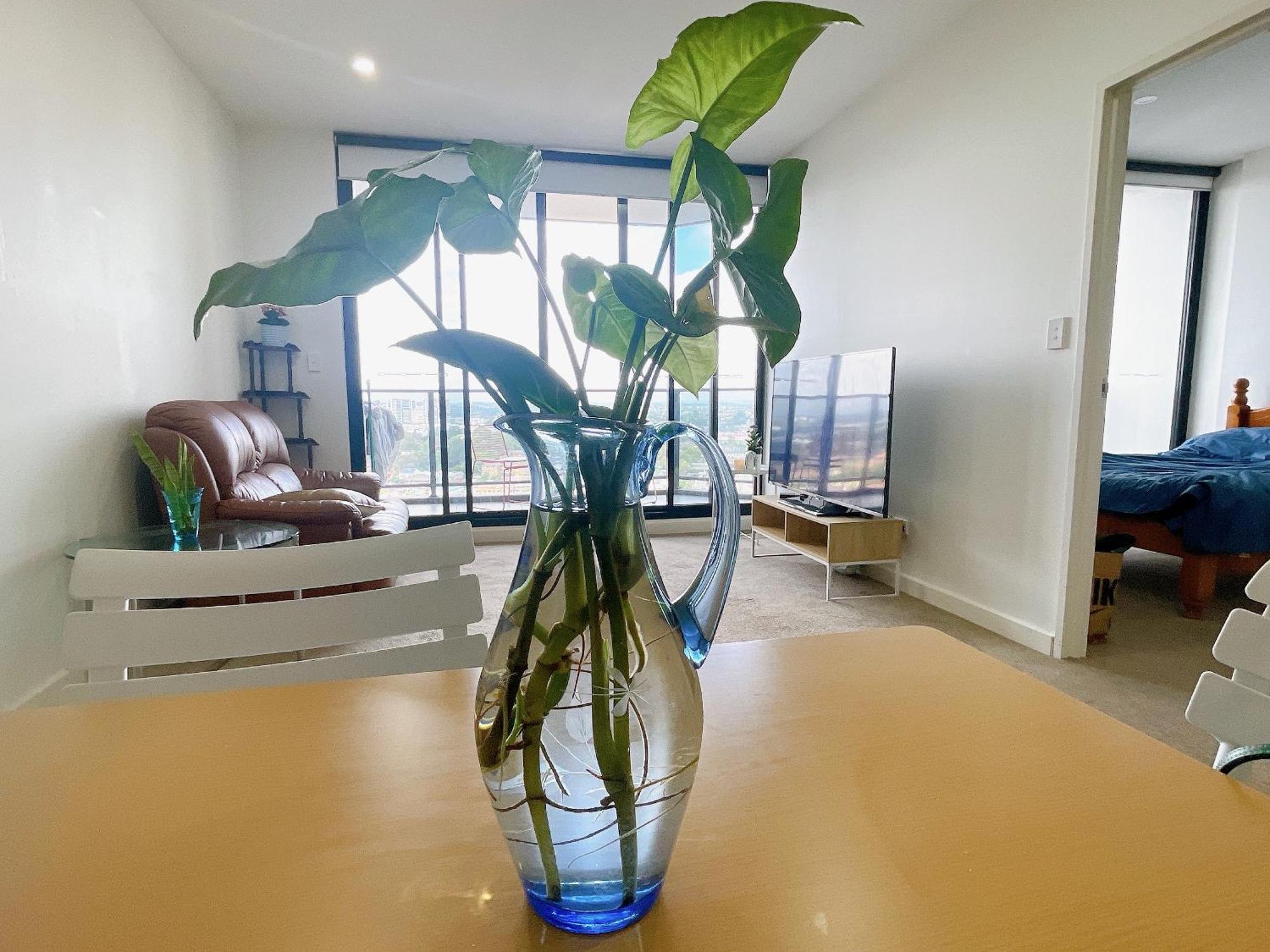 Parramatta New Paint 2b2b High Floor Apt Next To Train And Shopping Sydney